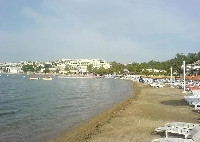 Phoenix Sun 4* Гумбет