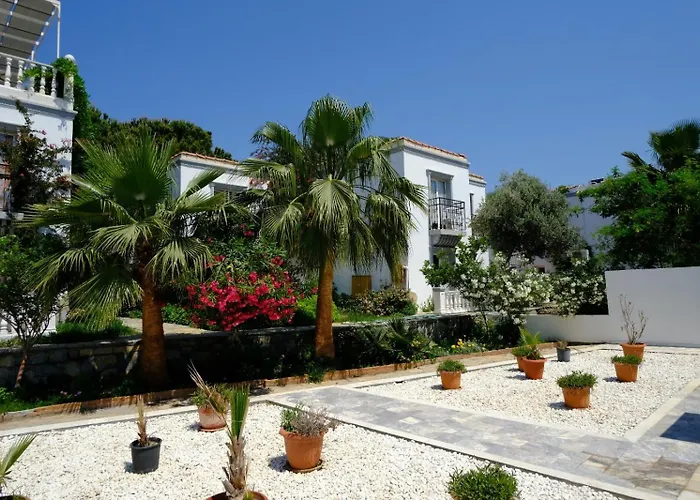 Курортный комплекс Phoenix Sun