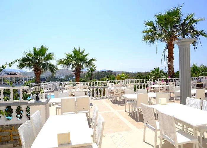 Phoenix Sun 4* Гумбет