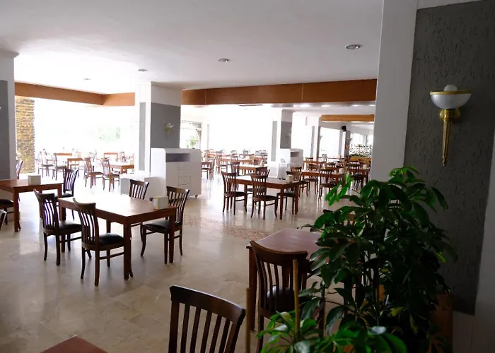 Phoenix Sun 4* Гумбет