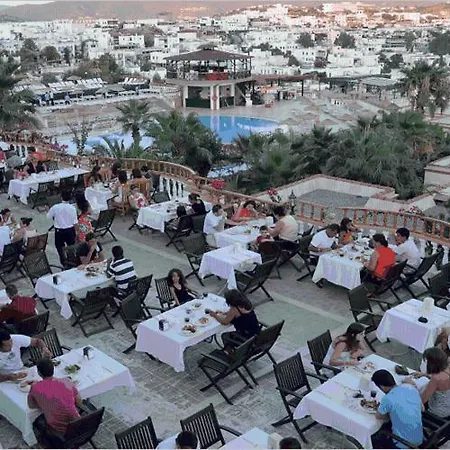 Phoenix Sun グムベット