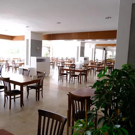 Phoenix Sun 4* Бодрум