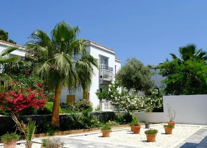 Phoenix Sun 4* Gümbet