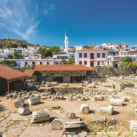 리조트 Phoenix Sun 검벳