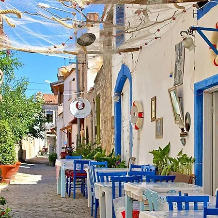 Phoenix Sun 4* 검벳