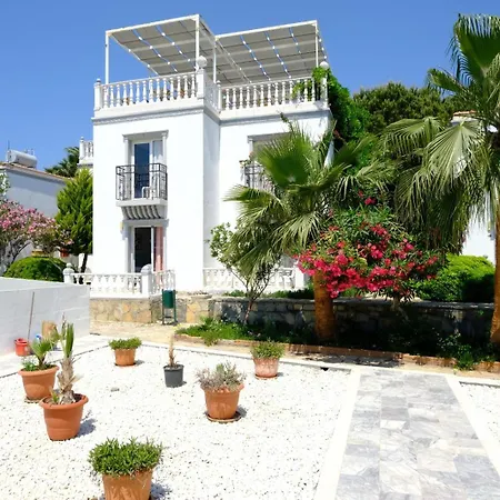 리조트 Phoenix Sun 4*