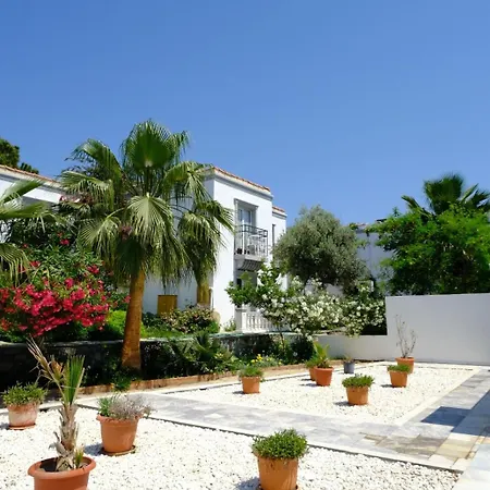 Phoenix Sun 4* 검벳