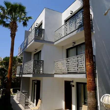 Phoenix Sun 4* 검벳