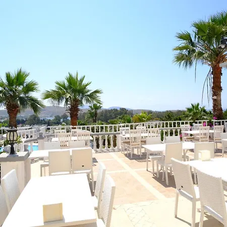 Phoenix Sun 4* 검벳