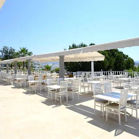 Phoenix Sun 4* 검벳